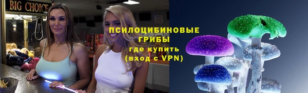 тгк Алзамай