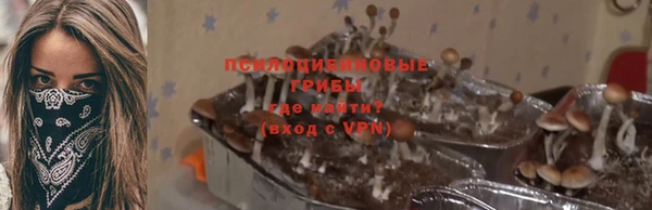 крисы Алексин
