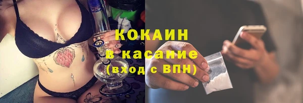 крисы Алексин