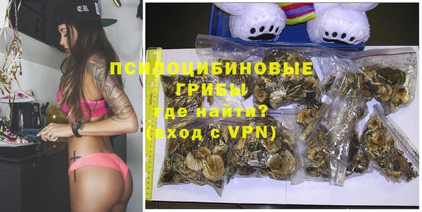 гидра Алексеевка