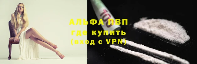 крисы Алексин