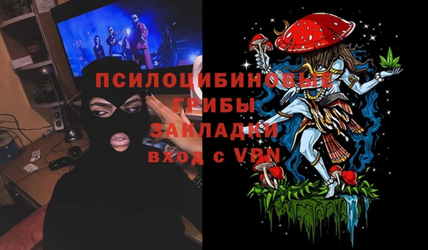 гидра Алексеевка