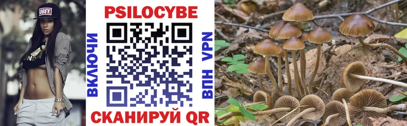 Галлюциногенные грибы прущие грибы  наркошоп  Островной 